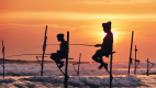 Traditional Stilt Fishing